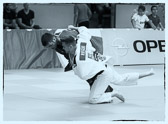 Rüsselsheim, 30. Mai 2015: Bundesliga 3. Kampftag Judo-Club Rüsselsheim vs. JSV Speyer